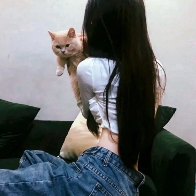 重生退婚妻第二季